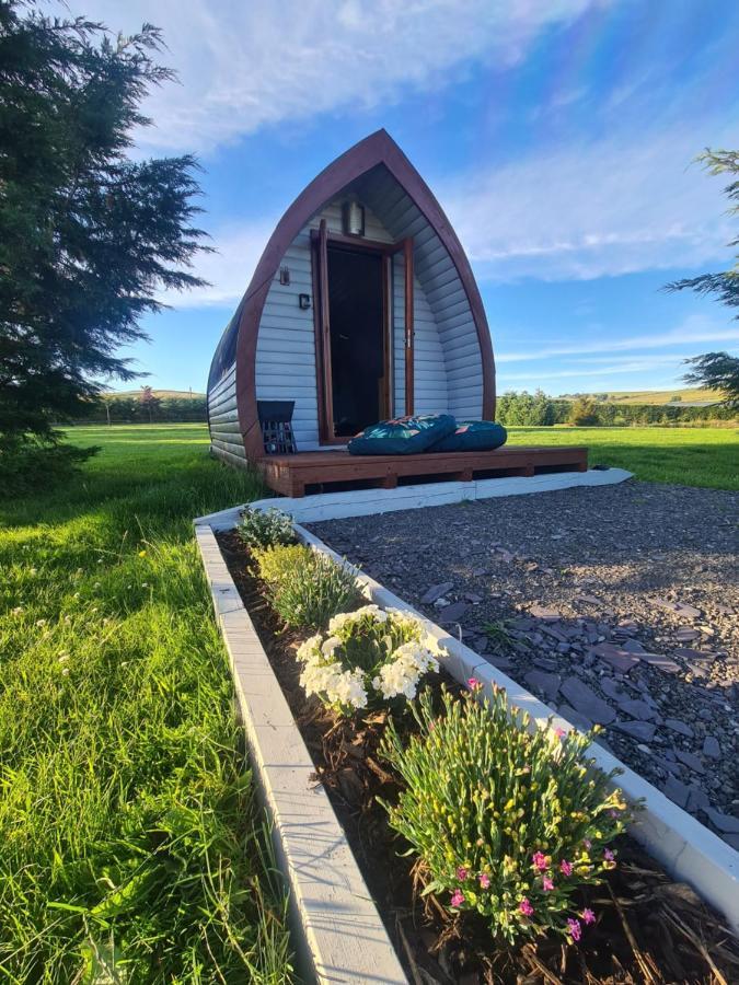 Hotel Delightful Camping Pod In Snowdonia, North Wales. Derwen Esterno foto